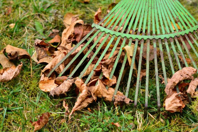 Seasonal Lawncare 101 A Beginners Guide To Year Round Maintenance My Girly Space 