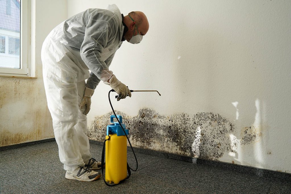 Black Mold in Basement Spaces: What Are the Long -Term Harms?