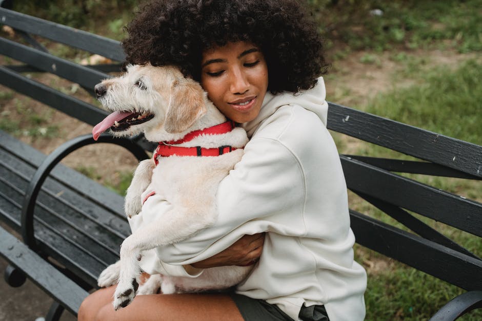 Are you thinking about getting an emotion support animal but are unsure about the emotional support animal registration? Learn more.