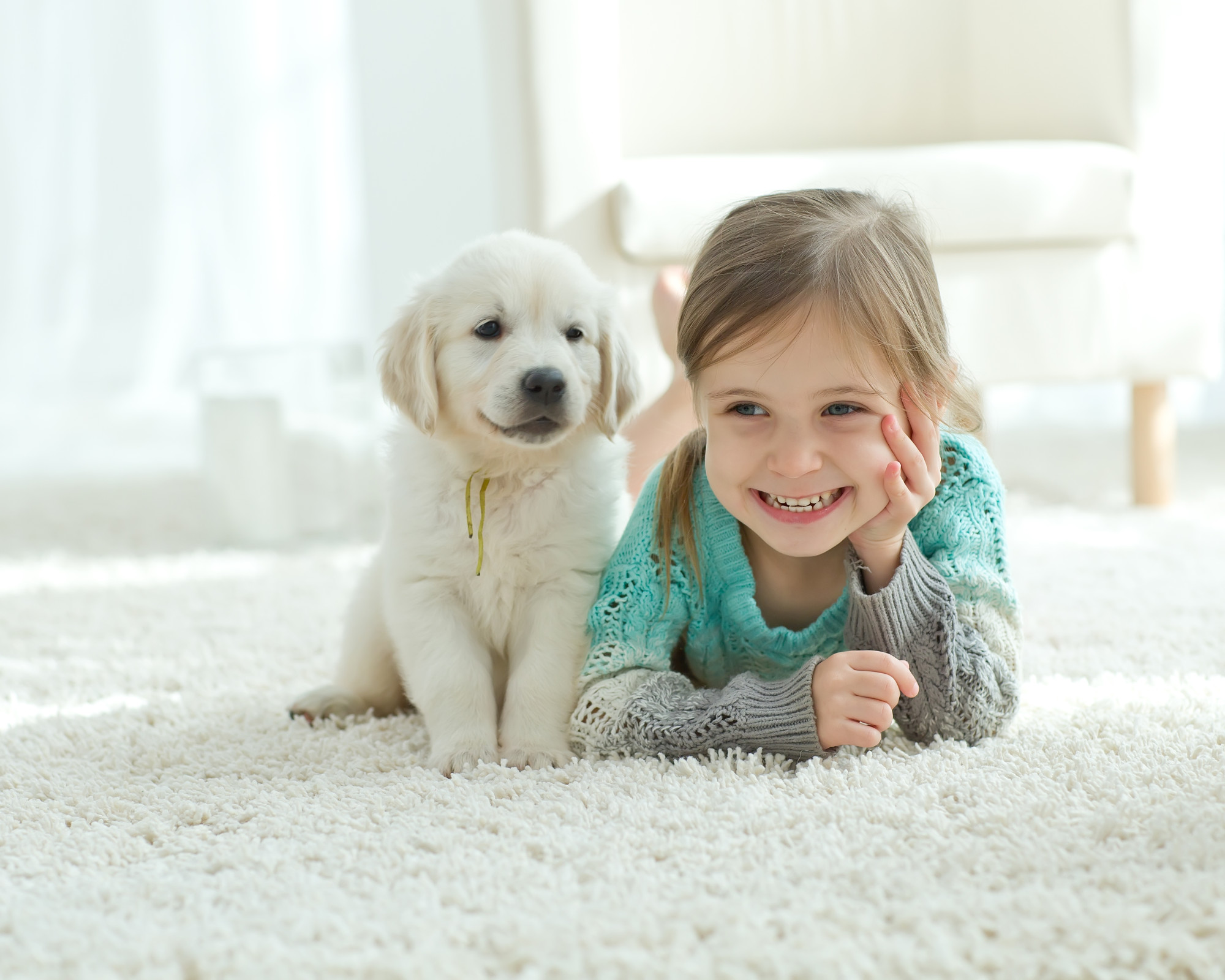 A new dog can bring so much joy into your home. But if this is your first dog, you’ll need to prepare. Here are 6 essentials your home needs for your first dog.