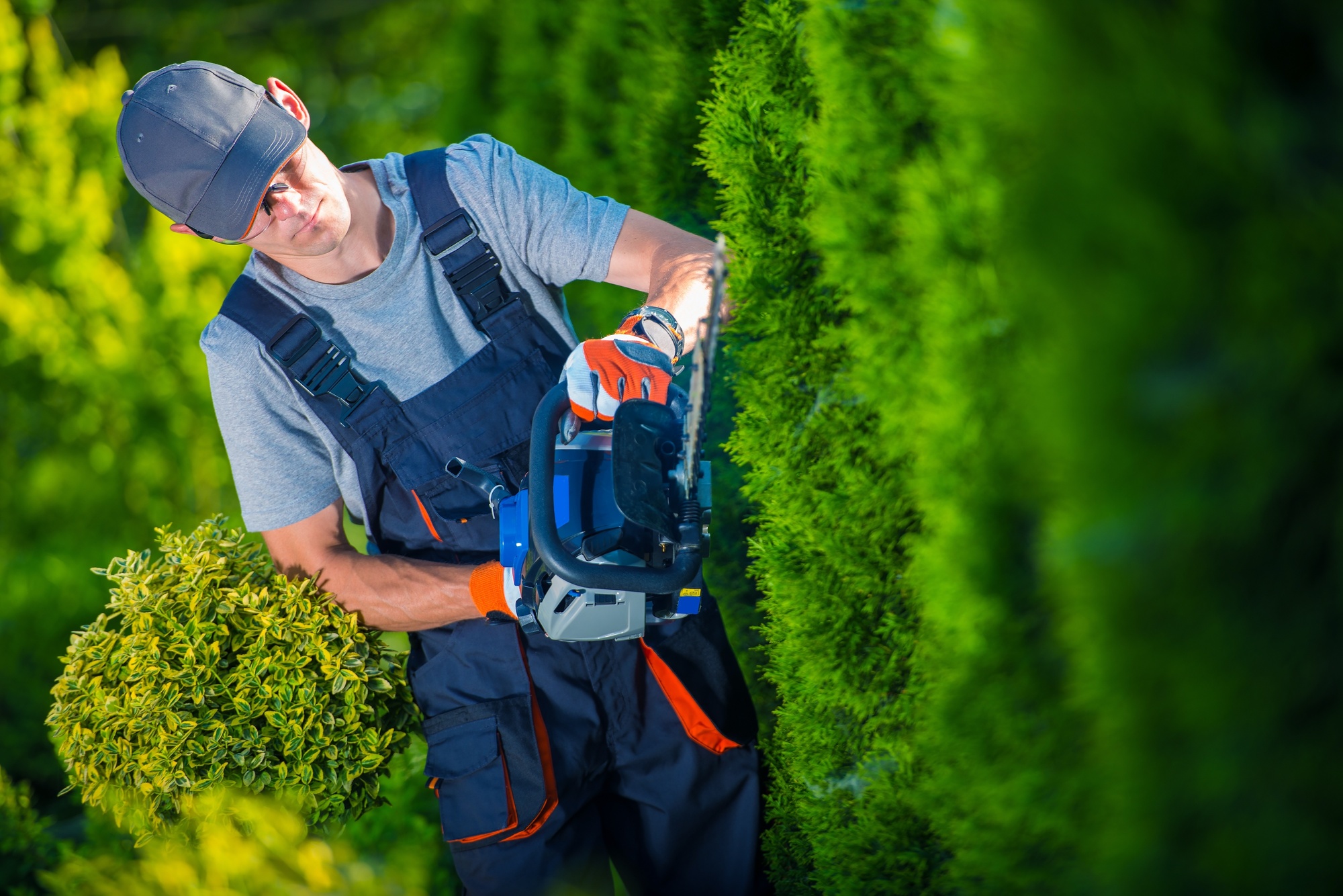 Finding the right professionals for a landscaping project requires knowing your options. Here is a guide for homeowners on choosing a landscaping company.