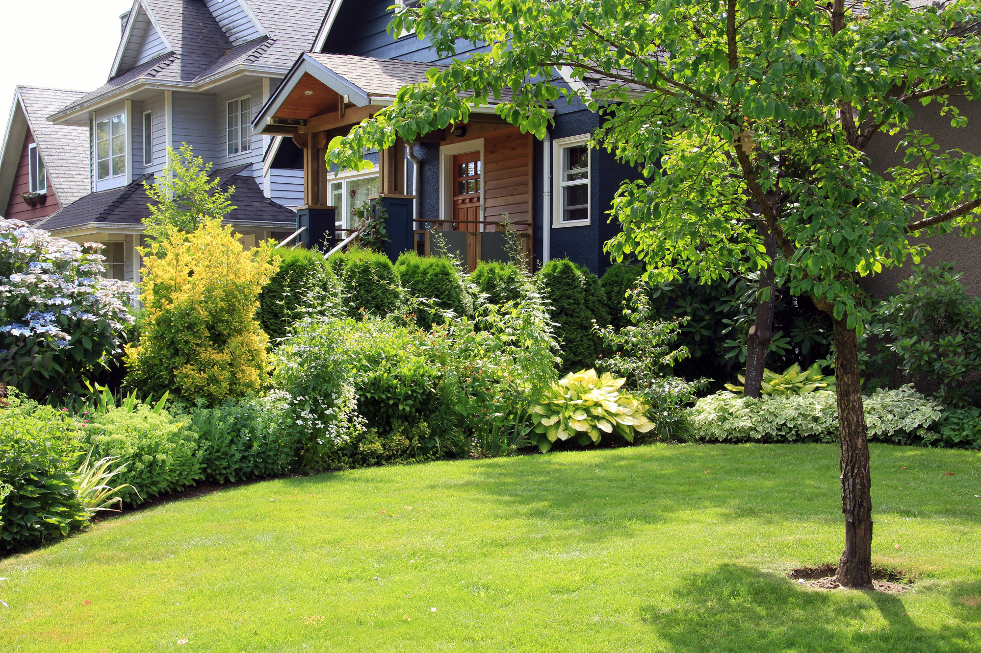 You want your lawn to look as good as it can. Here are some weed control tips that will help you keep your lawn healthy.