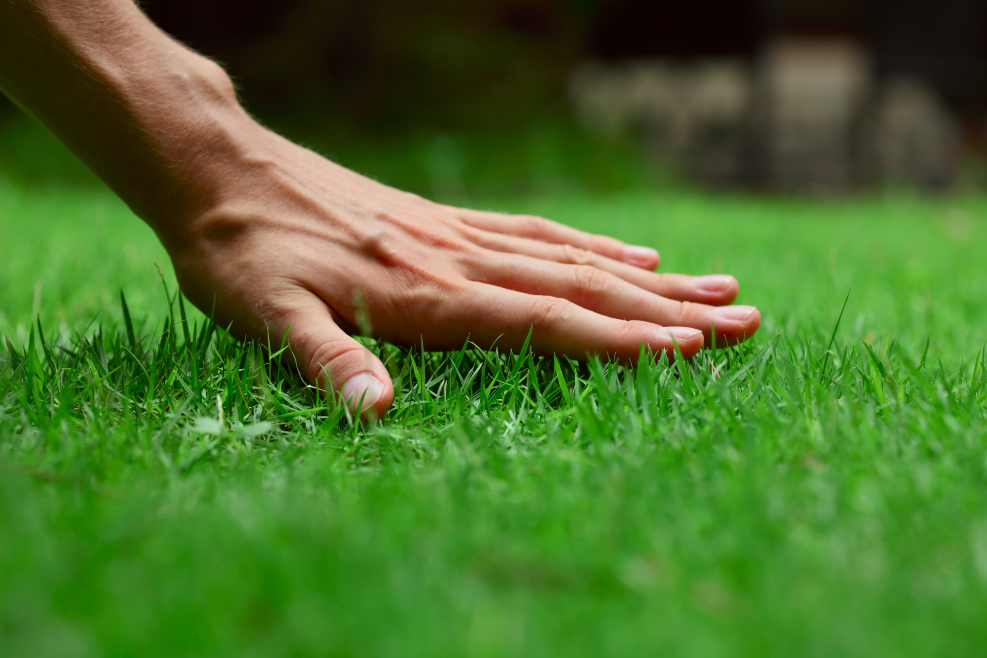 Is the grass greener on the other side of the fence? Here are four great lawn care tips to help make your garden look healthy.