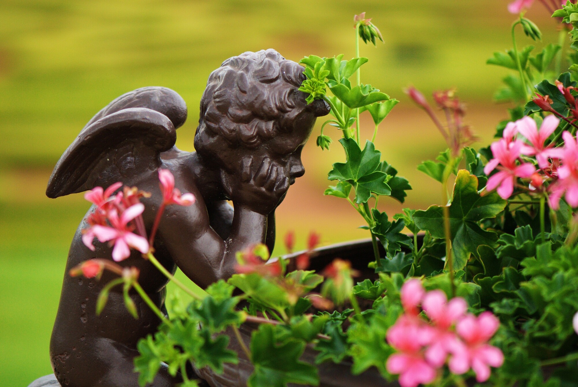 Are you looking for trendy ways to decorate your garden? Learn four of the best garden statue ideas by reading this guide.