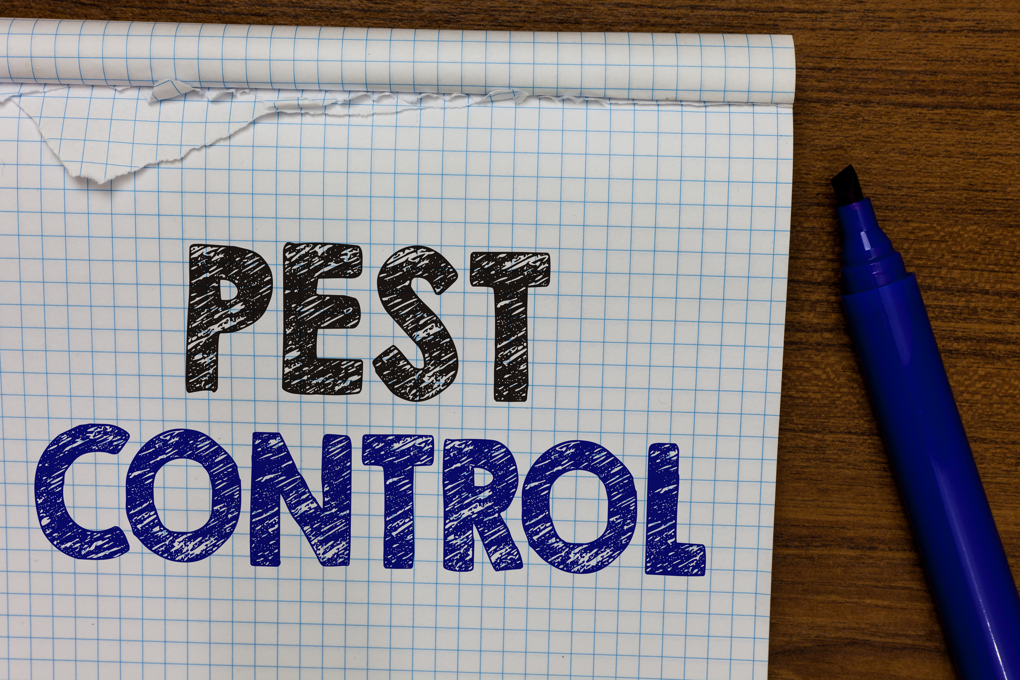 Pest control services are incredibly important to help maintain your home. Here's why pest control services are so important.