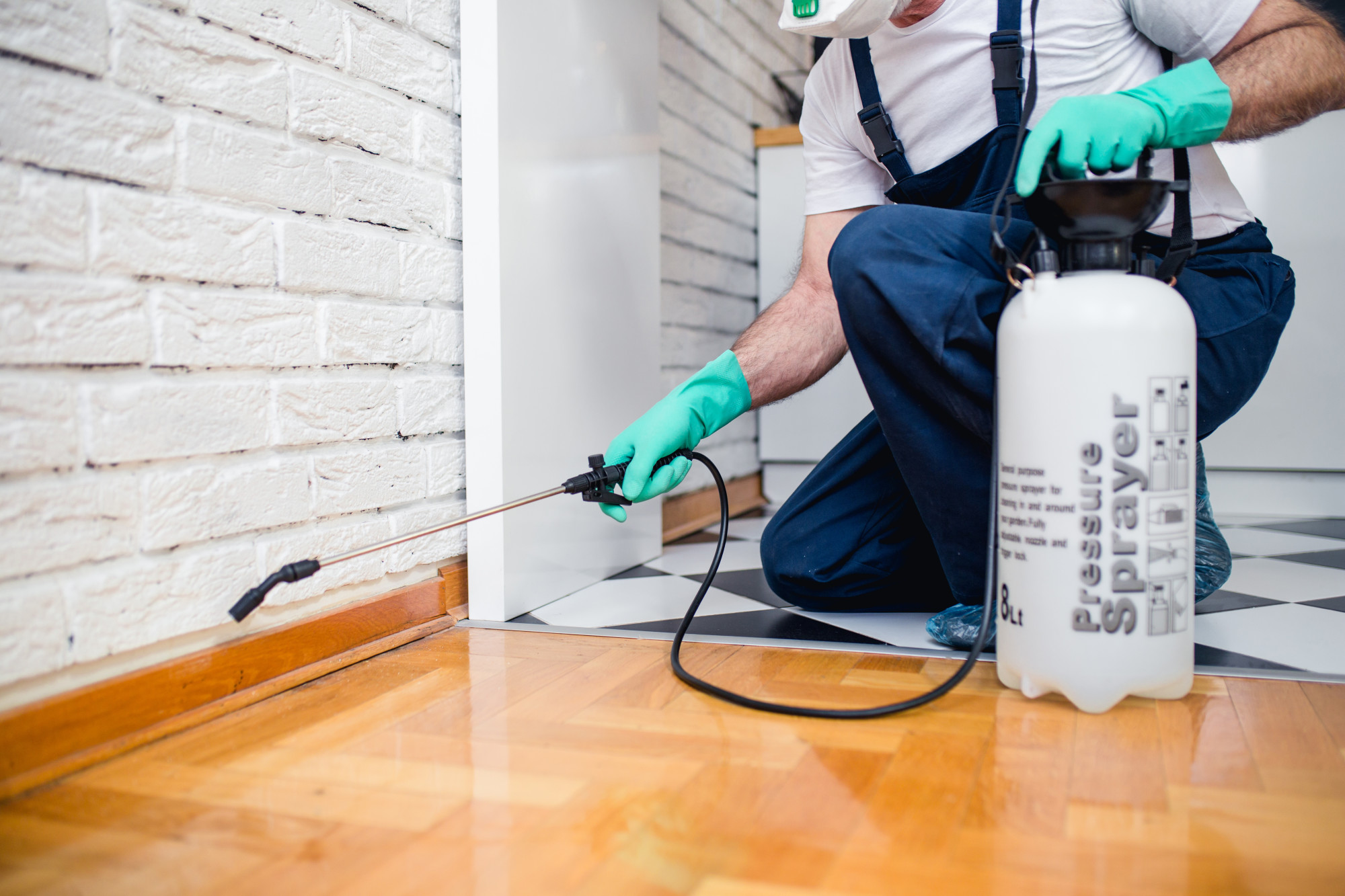 When you have uninvited pests in your home, find out why DIY pest control is better left to the experts to ensure an infestation doesn't get out of control.