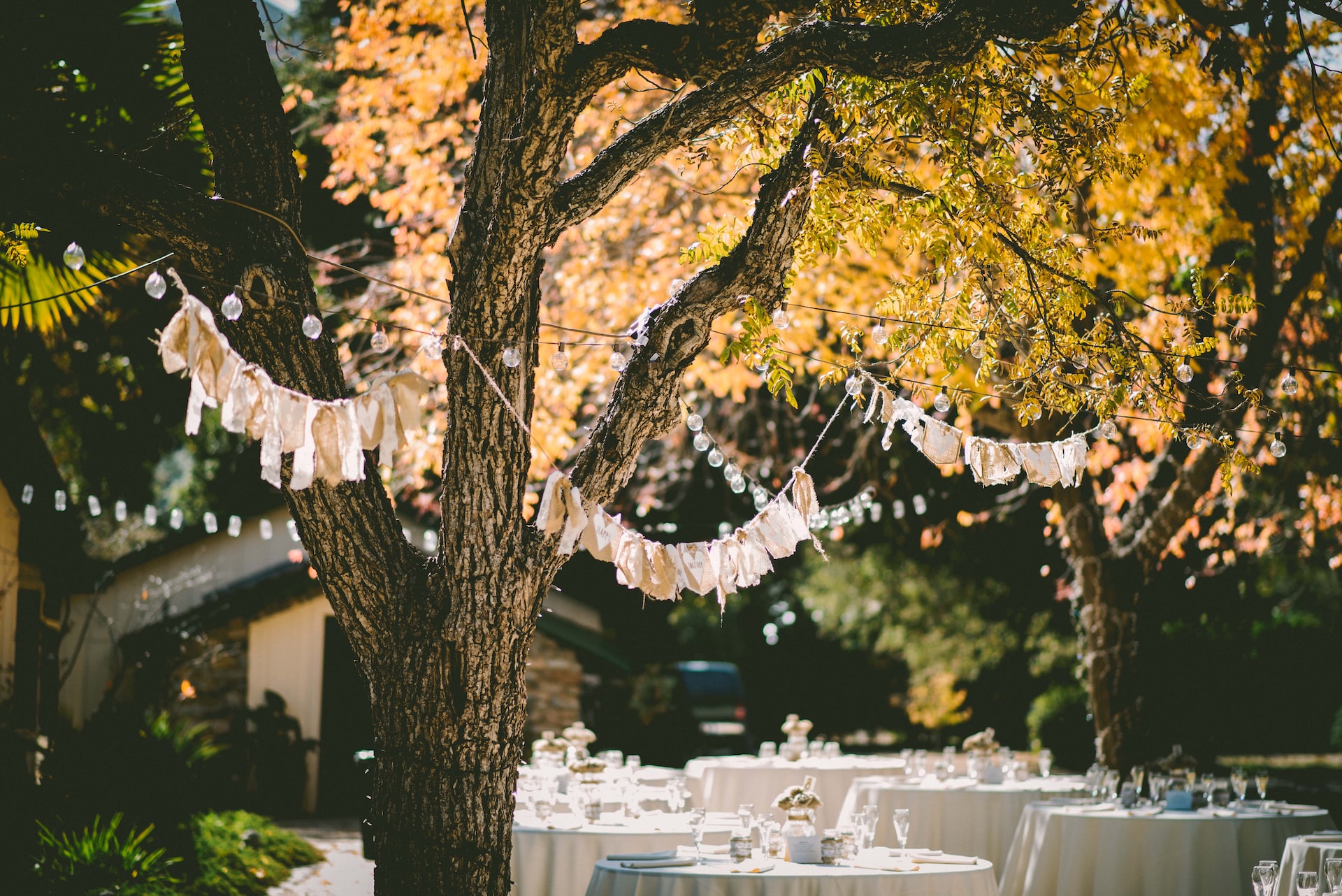 How to Host a Wedding in Your Backyard