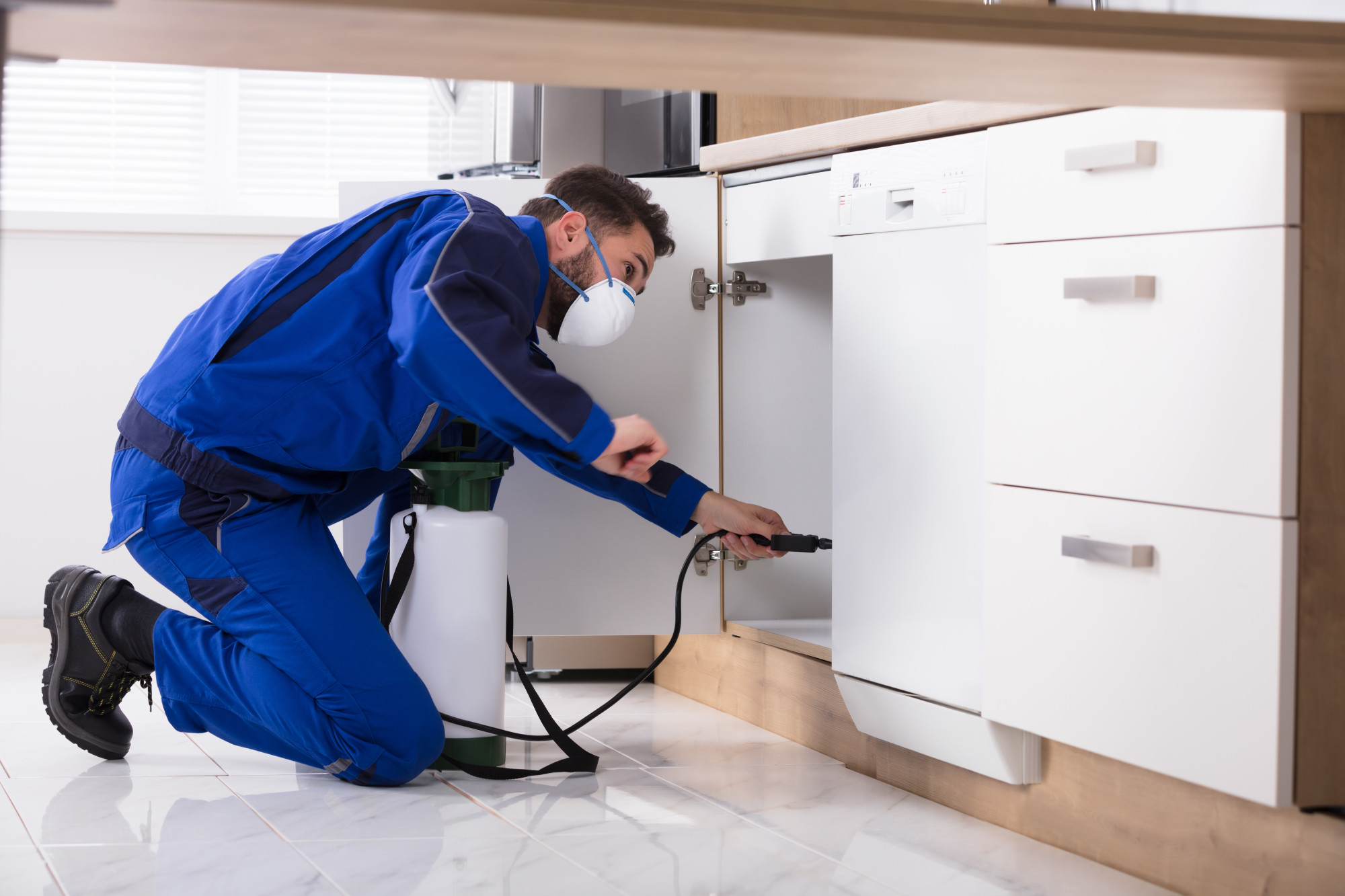 Are you looking for pest control services that you can count on? Click here for five practical tips for hiring a local pest control company.