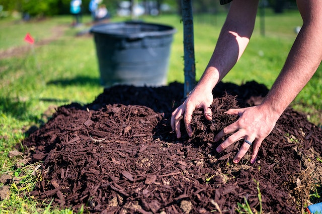 The Benefits of Mulching - Why You Should Start Today