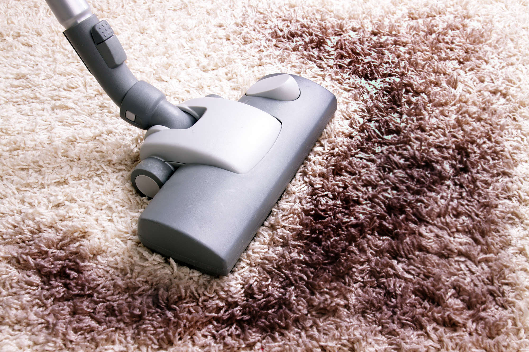 What to Do When Your Carpet Smells Like Mildew