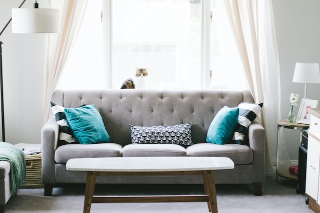 Why Furniture Rentals Are Increasingly Popular