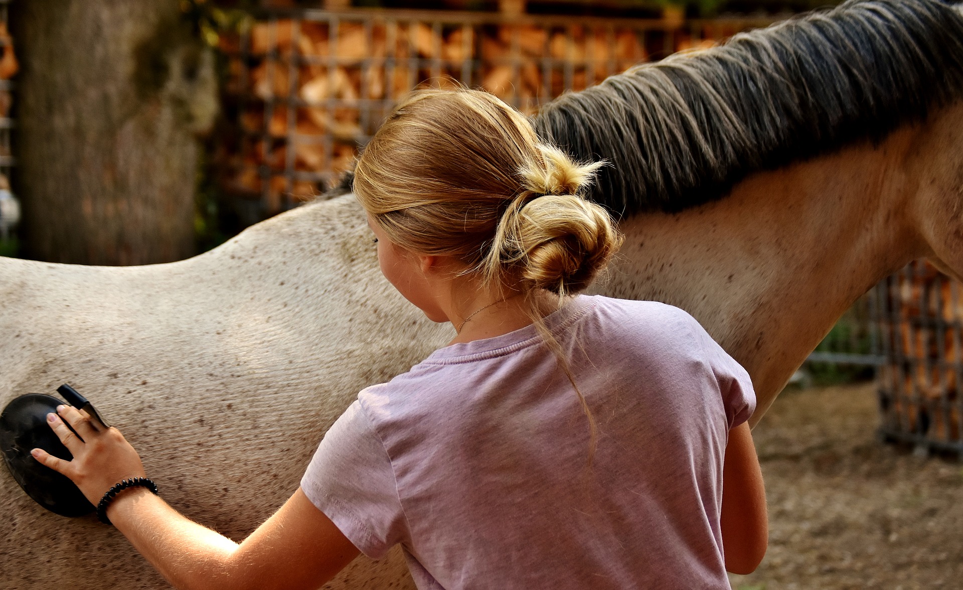 Keeping your horse well-groomed is important for their health. Learn what you should do in this quick guide to horse grooming for beginners.