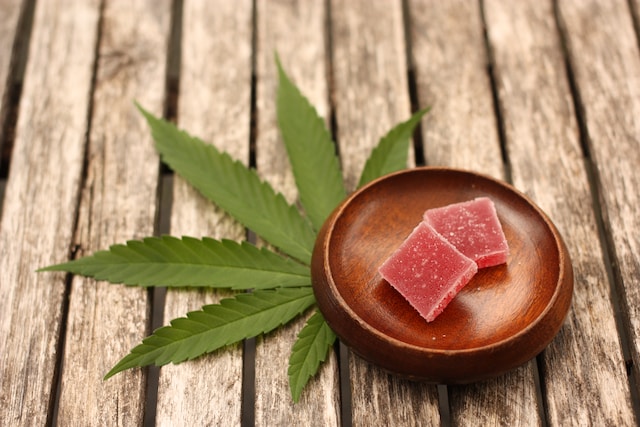 Information You Should Know About Edible Cannabis