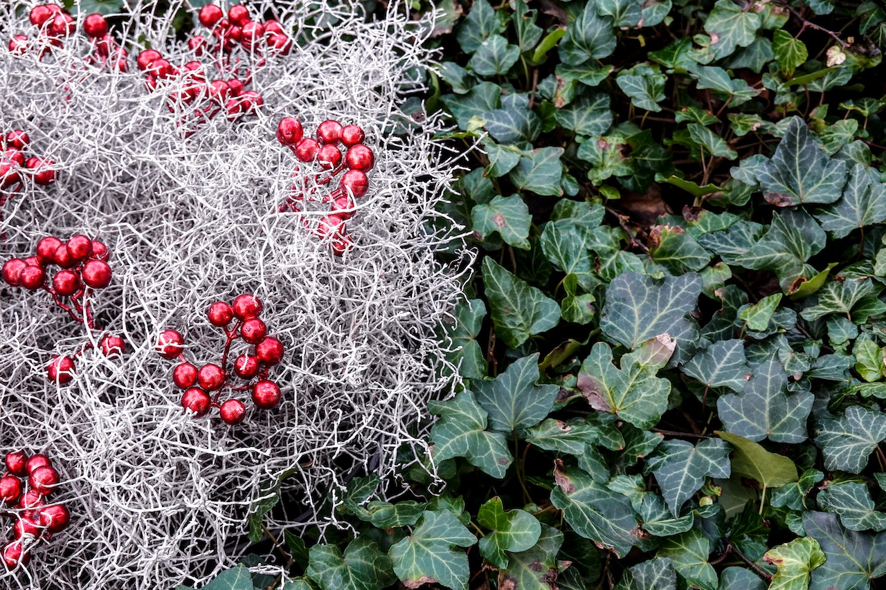 How To Transform Your Garden Into A Winter Wonderland