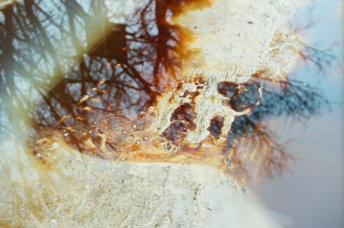 5 Creative Techniques for Abstract Digital Photography