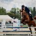 Enhance Your Jumping Game: Essential Horse Jump Accessories