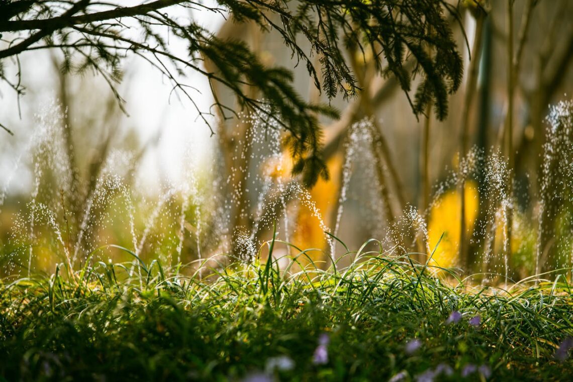 Effortless Beauty: How Professional Sprinklers Enhance Your Landscape