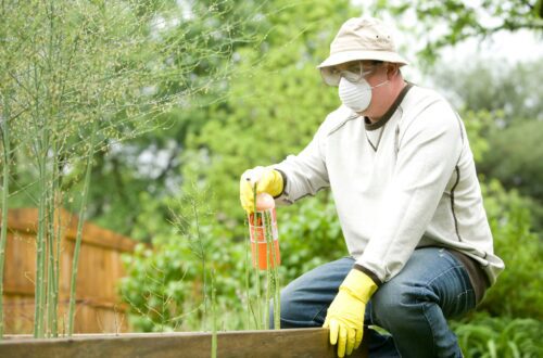 Protecting Your Garden and Your Family from Pests: A Comprehensive Guide