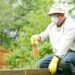 Protecting Your Garden and Your Family from Pests: A Comprehensive Guide